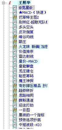 王照华指标集