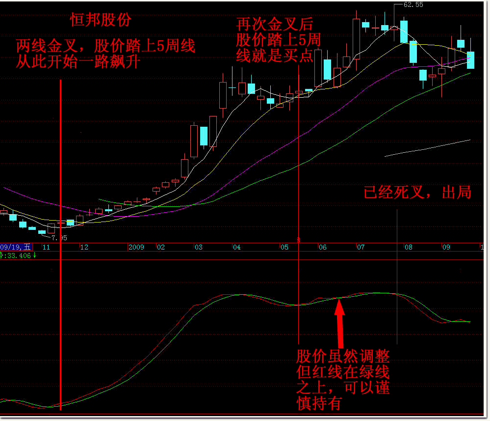 专捕主升浪（源码）