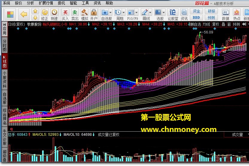 杨氏新顾比小牛