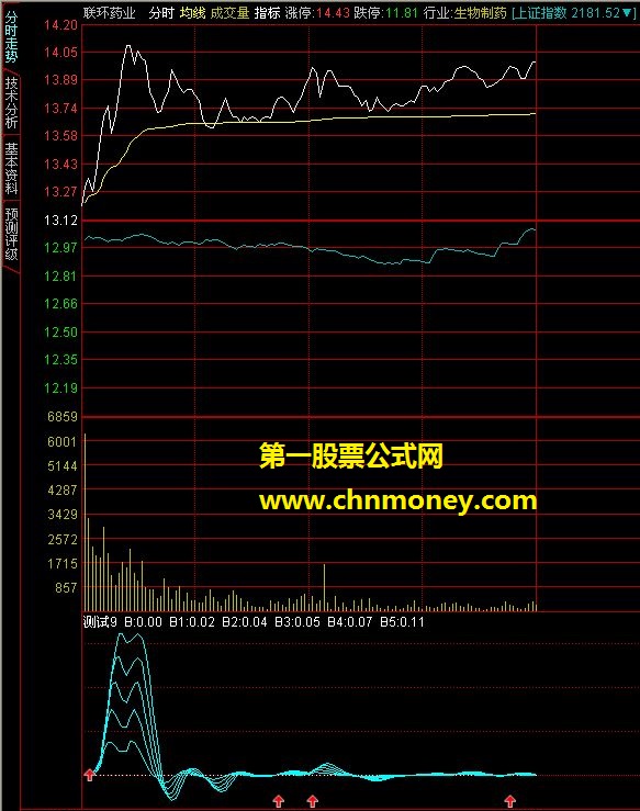 资金公式 分时附图 (源码 贴图)