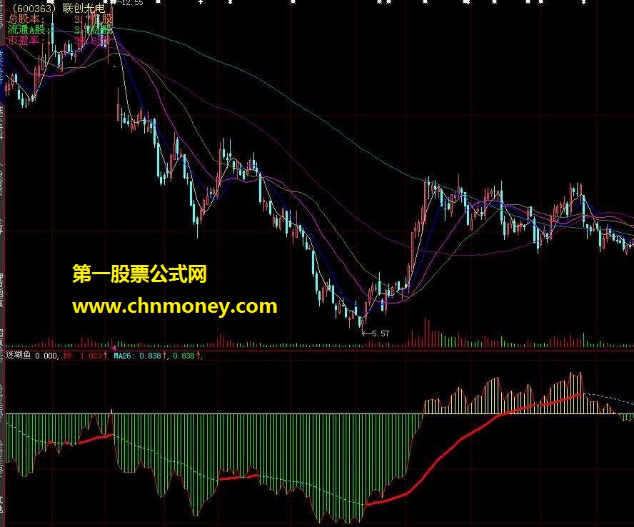 迷糊鱼2010改进版