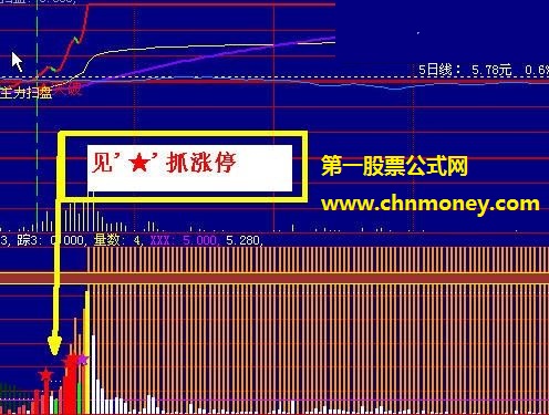 见星抓涨停