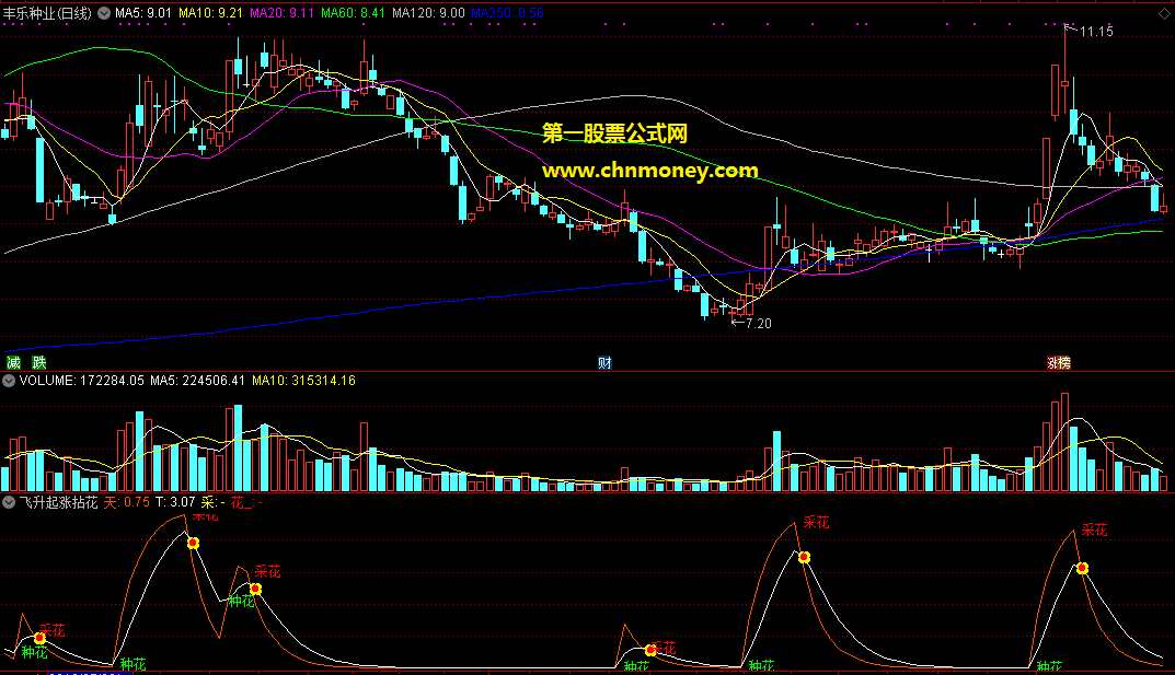 通达信飞升起涨拈花副图附源码指标