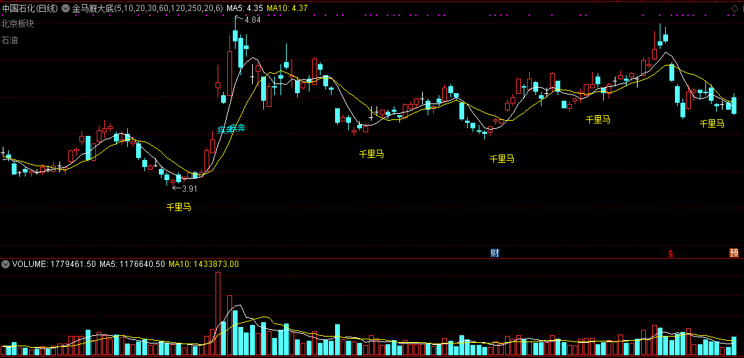 【金马厩大底】主图指标，无未来函数，放心搏击黑马！