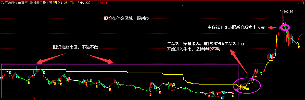 全网唯一原创主图亮相——神秘识势主图指标，通达信，不加密不限时，无未来