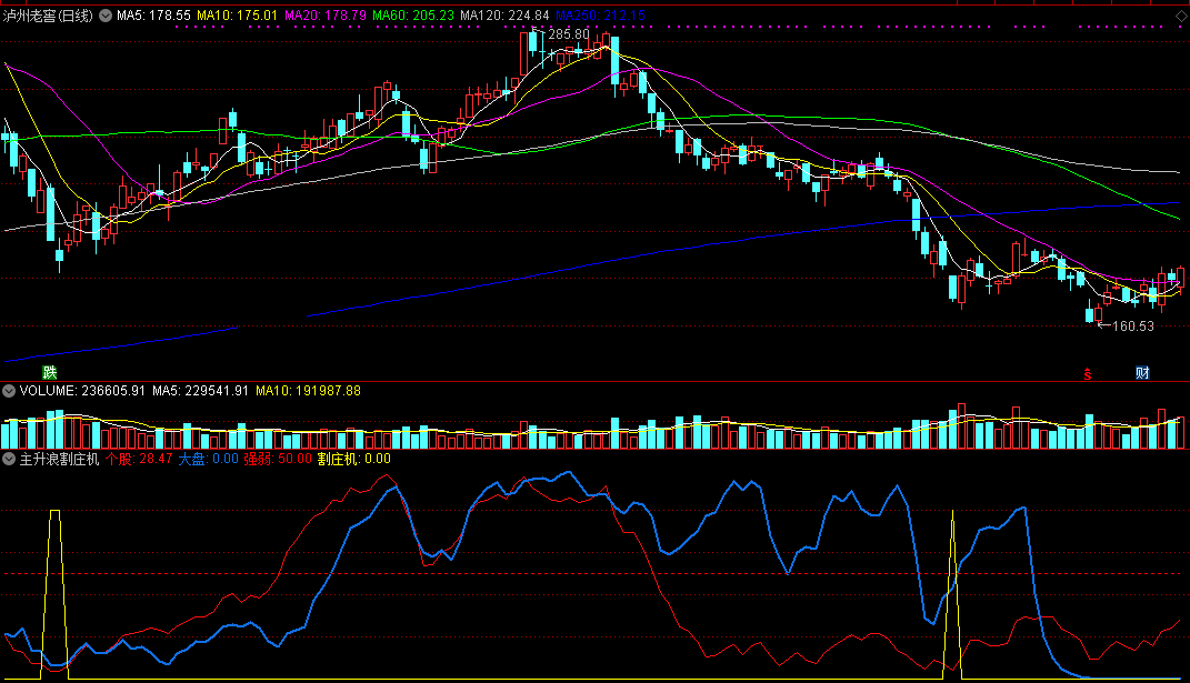 主升浪割庄机副图指标，潜入主升，收割庄家筹码！