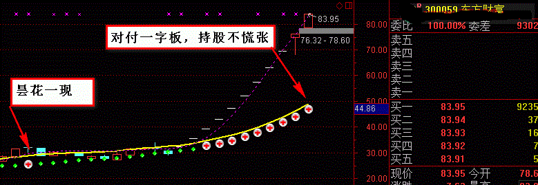 强势股集中营来自《线上开花骑大牛（主图）》确保无未来，不漂移