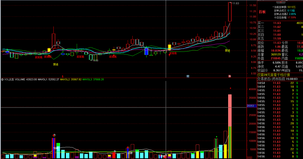 黑牛均线+VOL买卖组合指标 牛点买入 准确率极高 通达信 源码