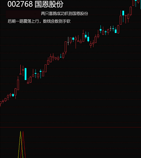 〖两只喜鹊〗副图/选股指标 做多趋势下出预警信号 擒牛抓主升浪 通达信 源码