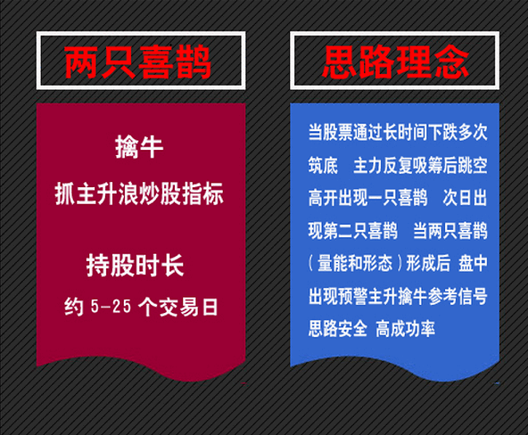 〖两只喜鹊〗副图/选股指标 做多趋势下出预警信号 擒牛抓主升浪 通达信 源码