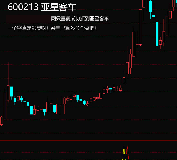 〖两只喜鹊〗副图/选股指标 做多趋势下出预警信号 擒牛抓主升浪 通达信 源码