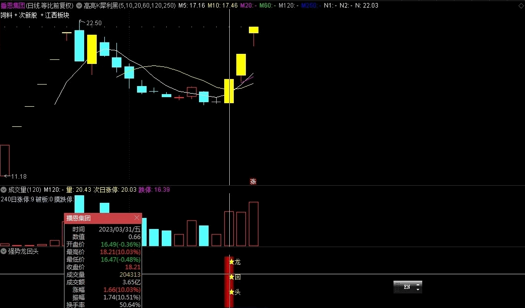 〖强势龙回头〗副图/选股指标 拉升回调企稳 抓再度翻身向上机会 通达信 源码