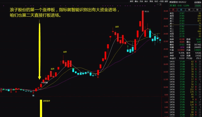 整合一个价值300万的〖游资涨停〗主图/副图/选股指标 钜惠套装 《妖股游资涨停》一年10倍 通达信 源码