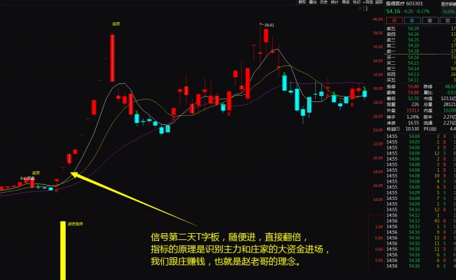 整合一个价值300万的〖游资涨停〗主图/副图/选股指标 钜惠套装 《妖股游资涨停》一年10倍 通达信 源码