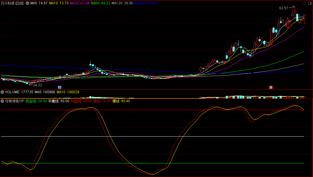 〖守株待兔〗VIP副图指标 捕捉牛股主升浪方面实战表现最牛的超级指标 识别大黑马一骑到底 通达信 源码