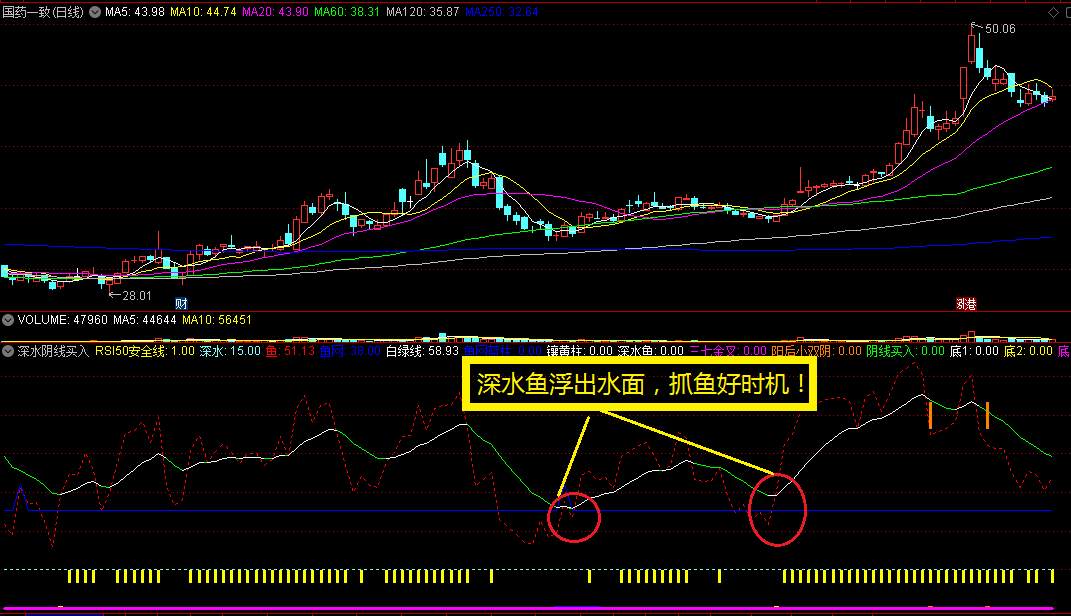 〖深水阴线买入〗副图指标 鱼网深水区域捞鱼 金底金叉买入 通达信 源码