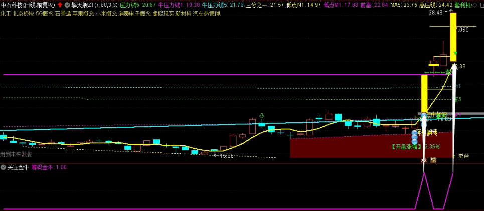 五一豪礼：〖筹码金牛〗副图/选股指标 实抓20CM好几只 拒绝马后炮 指标总结 通达信 源码