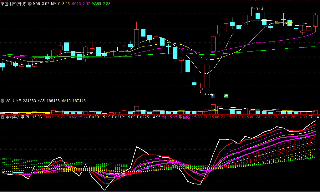〖主力买入量〗副图指标 主力有多少资金进场 一看就知道 通达信 源码