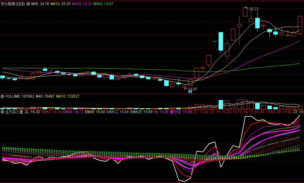 〖主力买入量〗副图指标 主力有多少资金进场 一看就知道 通达信 源码