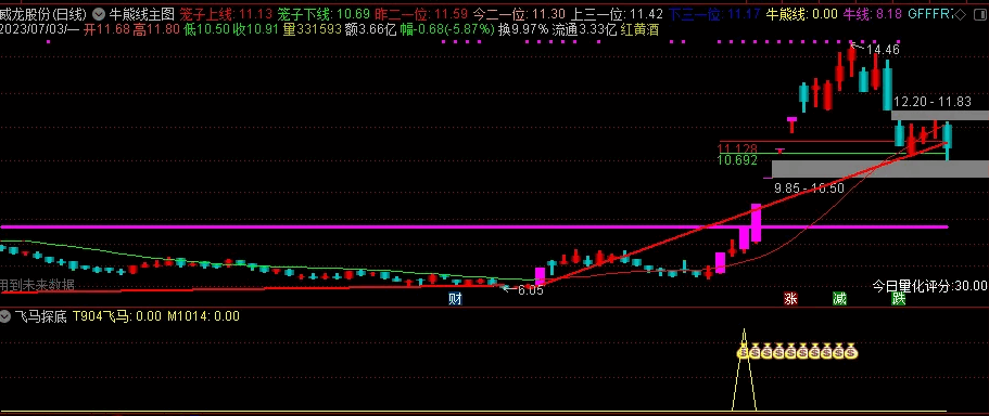 〖飞马探底〗副图/选股套装指标 属于抄底类指标 无密无未来分享 通达信 源码