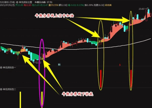 价值几万块的〖神龙波段〗主图/副图/选股指标 让小白轻松稳定盈利 附使用说明 通达信 源码