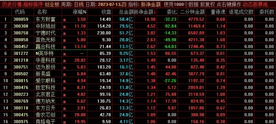 新通达信〖净金额排序〗副图指标 必须用通达信新版 与主力净额数据一样 通达信 源码