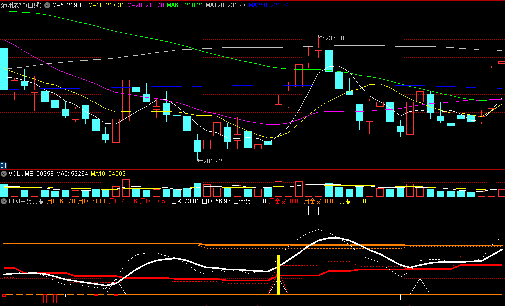 〖KDJ三叉共振〗副图/选股指标 日金叉+周金叉+月金叉 黄柱出现就是周期共振点 通达信 源码