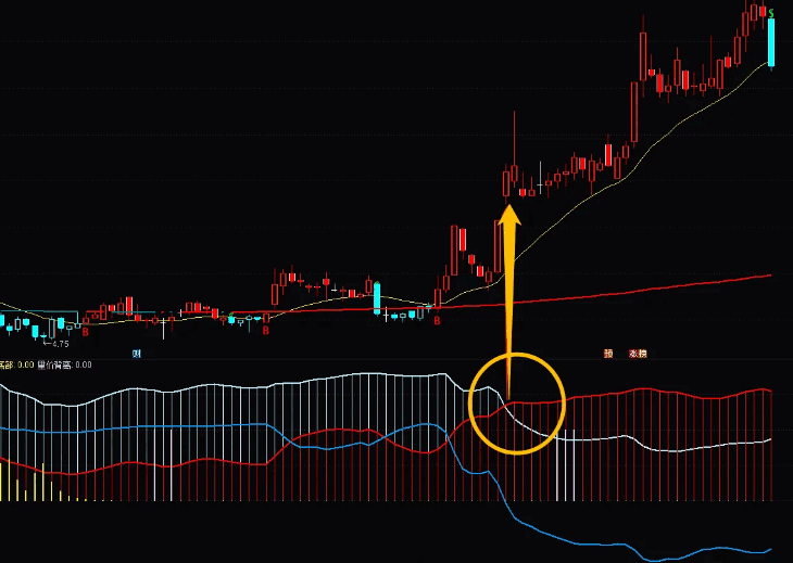 〖筹码神器〗副图指标 抓牛股 擒黑马 通达信 源码