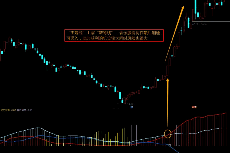 〖筹码神器〗副图指标 抓牛股 擒黑马 通达信 源码