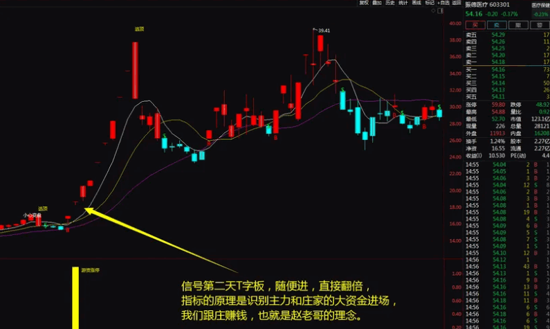 【金钻】〖游资涨停战法〗主图/副图/选股指标 龙头战法中的精髓 助你股海淘金 无未来函数 通达信 源码