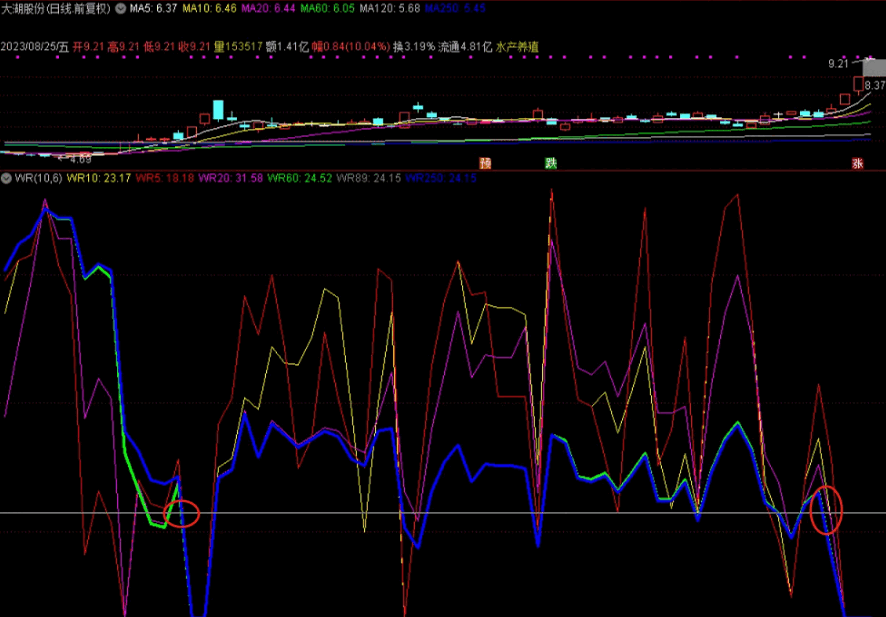 〖筹码变化★★〗副图指标 量筹信号 原创利用威廉指标原理抓妖股 市场给你的机会不多 通达信 源码