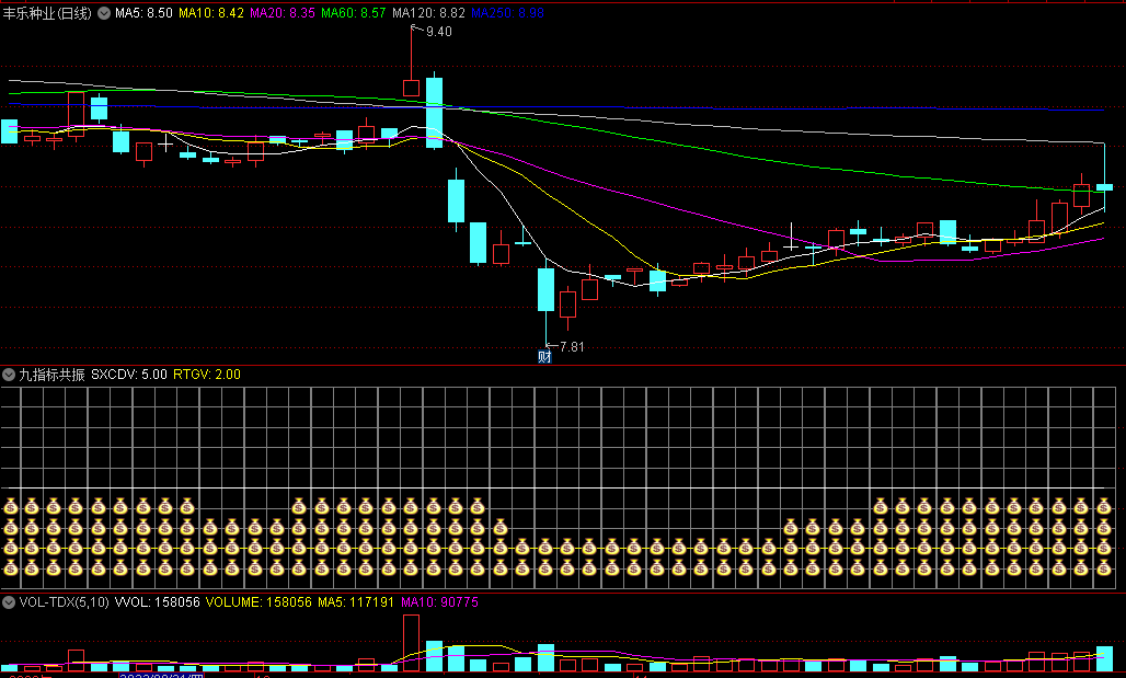 〖九指标共振〗副图指标 钱袋子一行出现关注 二行出现开始反弹 通达信 源码
