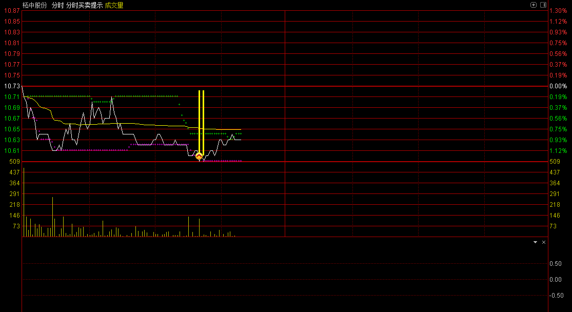 〖分时买卖提示〗主图指标 盘中做T 精准低买高卖 通达信 源码