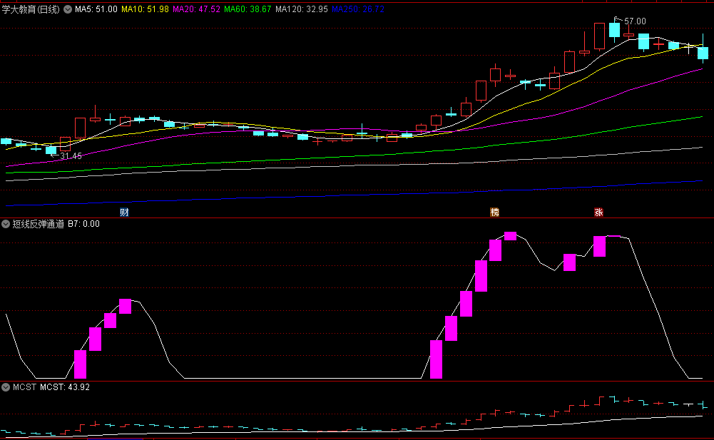 〖短线反弹通道〗副图/选股指标 紫色柱子出现 反弹到来 通达信 源码