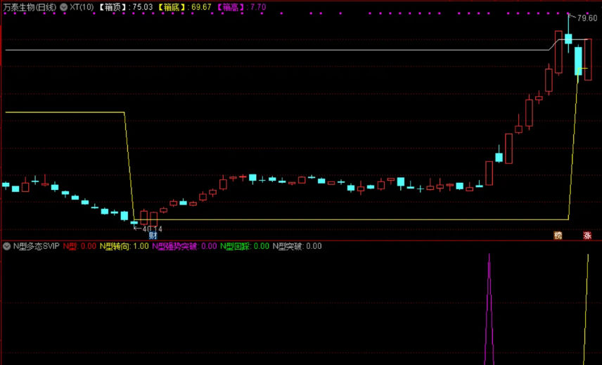 〖N型多态SVIP〗副图指标 强势战法 德圣通原创架构 通达信 源码