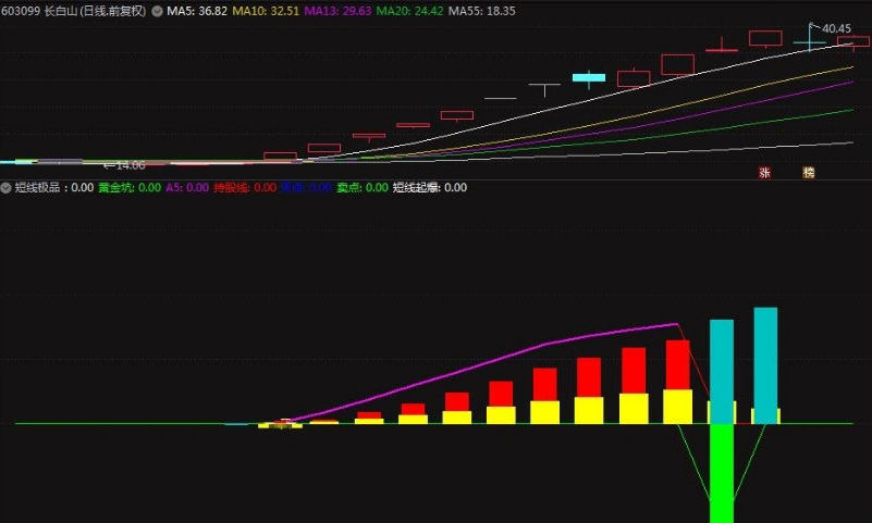 〖短线极品〗副图指标 能抓住长白山 深中华等很多牛股 很牛的一个副图 通达信 源码
