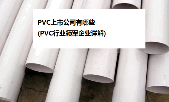 PVC上市公司有哪些(PVC行业领军企业详解)