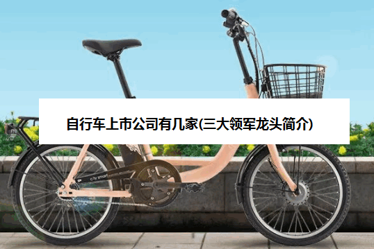 自行车上市公司有几家(三大领军龙头简介)