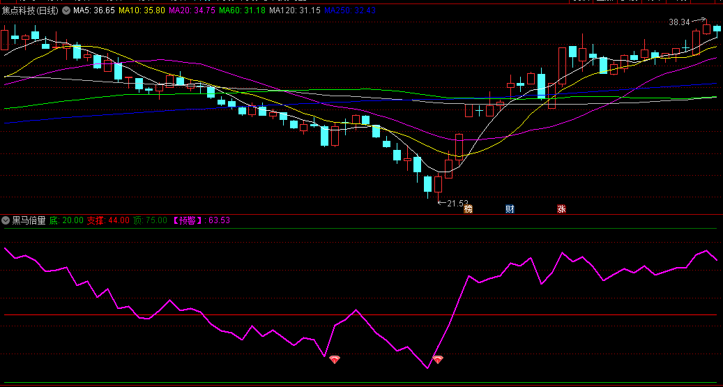 〖黑马倍量〗副图/选股指标 倍量/梯量 顶底支撑 无未来 通达信 源码