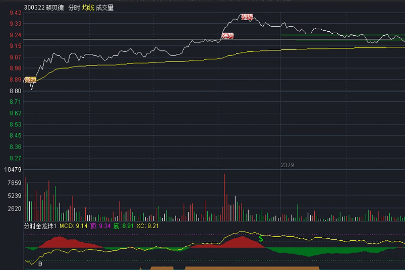 五一福利〖分时金龙珠〗副图指标 可以参考日内做T 抓住牛股的机会 通达信 源码