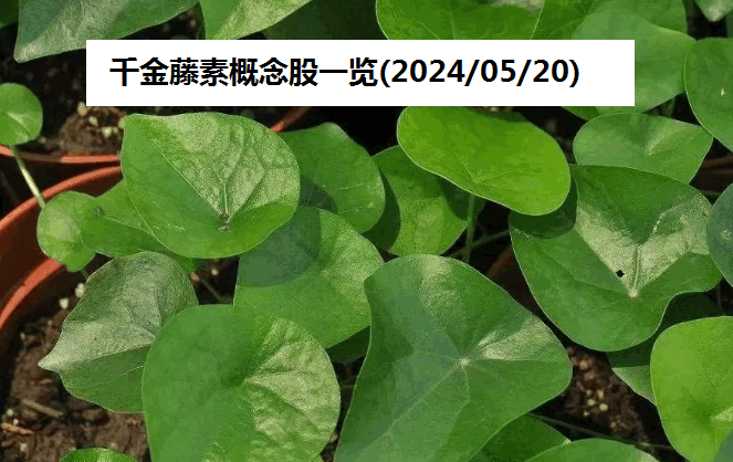 千金藤素概念股一览(2024/05/20)