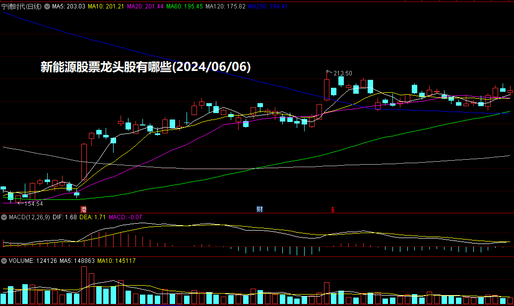 新能源股票龙头股有哪些(2024/06/06)