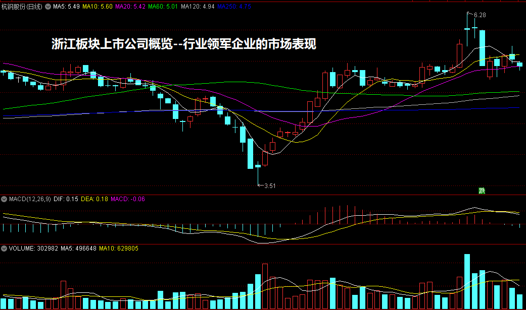 浙江板块上市公司概览--行业领军企业的市场表现