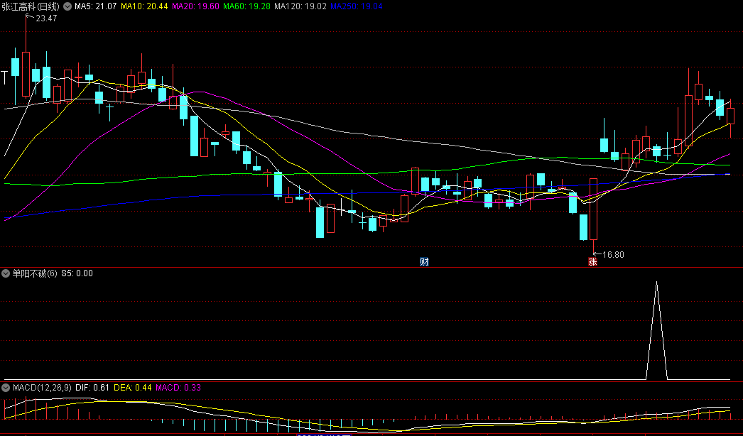 通达信【单阳不破】优化版副图/选股指标，识别并把握市场中的单阳不破形态，抓住即将迎来新一轮的上涨