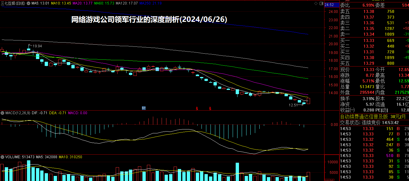 网络游戏公司领军行业的深度剖析(2024/06/26)