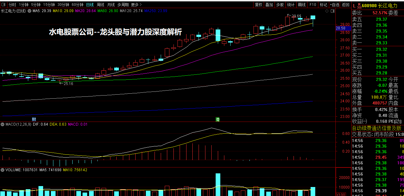 水电股票公司--龙头股与潜力股深度解析
