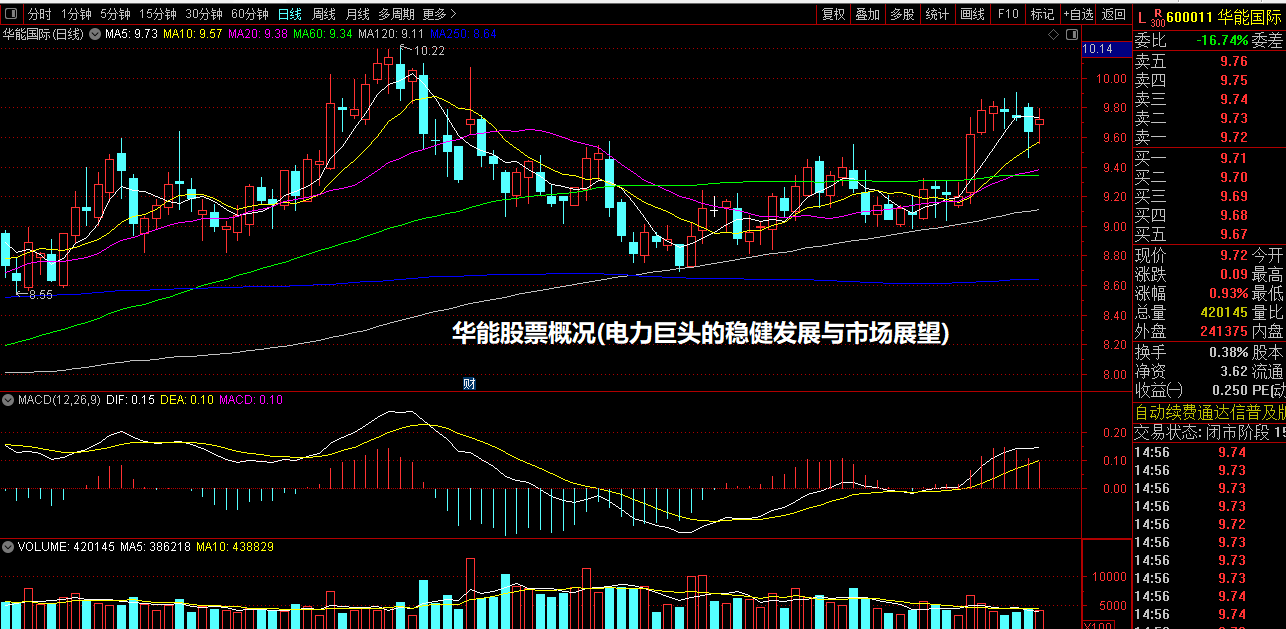 华能股票概况(电力巨头的稳健发展与市场展望)