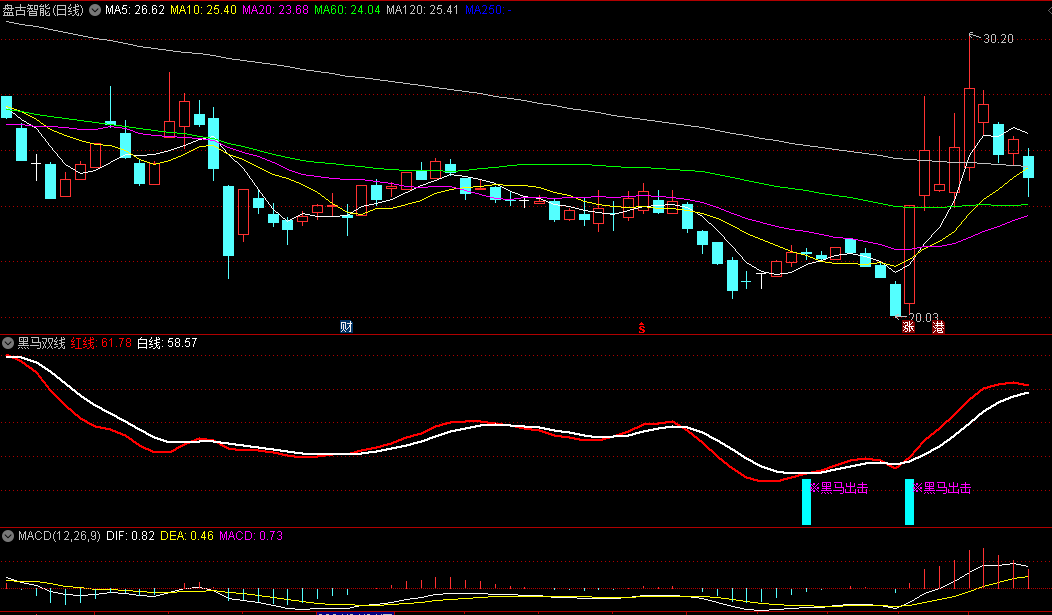 黑马双线副图/选股指标，一种有效的抄底反转动能指标，捕捉阶段性底部的形成，提示适当的时机进行买入操作