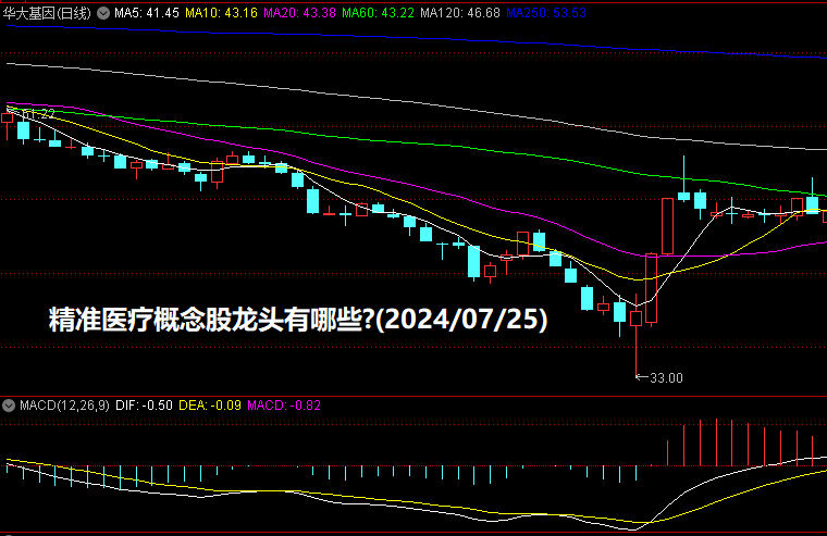 精准医疗概念股龙头有哪些?(2024/07/26)