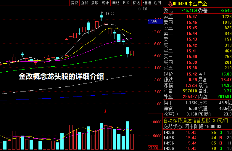 金改概念龙头股的详细介绍